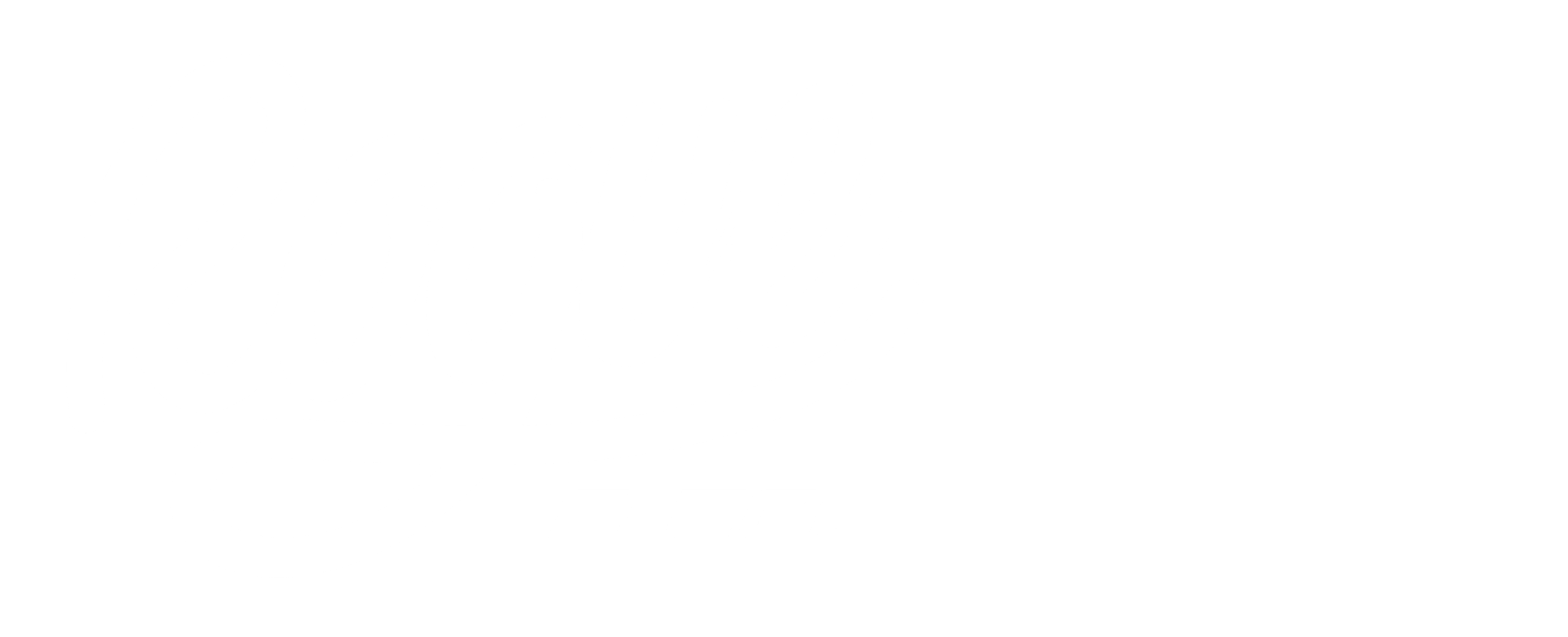 rogueandco.co.za